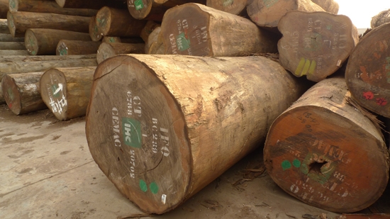  Import and export business